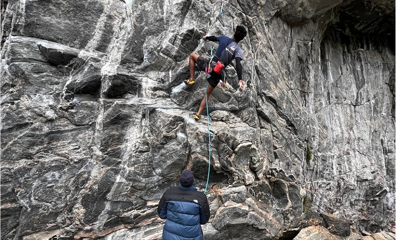 What are your background checking goals?